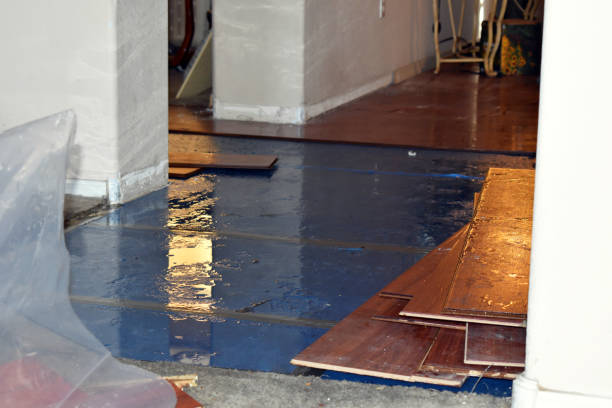 Professional Flood Damage Repair technician working in Huntington, IN